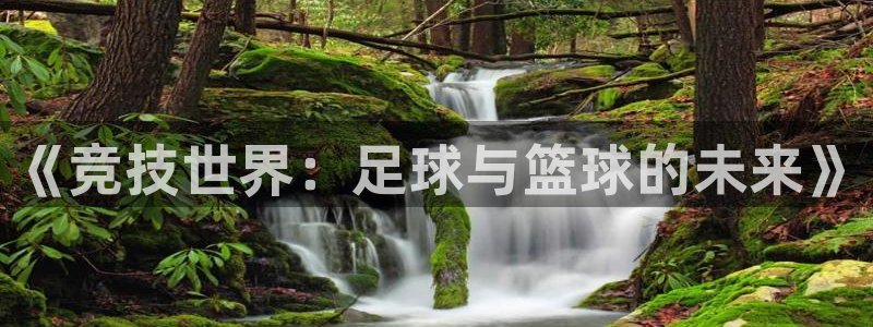 77体育app下载官网：《竞技世界：足球与篮球的未来》