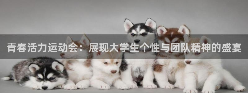 77体育app下载官网：青春活力运动会：展现大学生个性与团队精神的盛宴