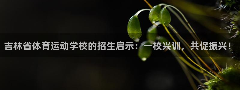 77体育app下载官网：吉林省体育运动学校的招生启示：一校兴训，共促振兴！