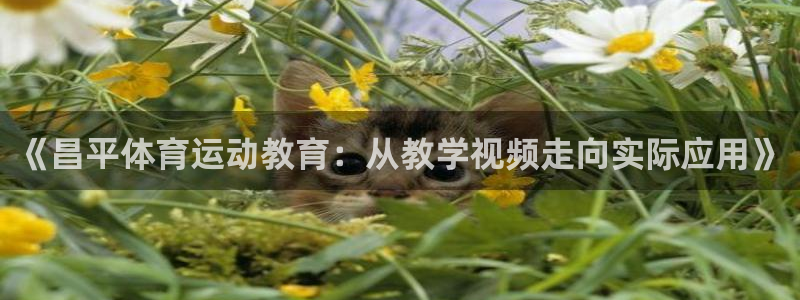 77体育app下载官网：《昌平体育运动教育：从教学视频走向实际应用》