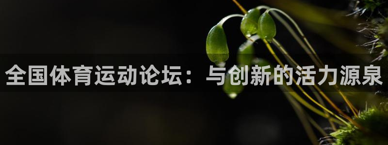77体育app下载官网：全国体育运动论坛：与创新的活力源泉