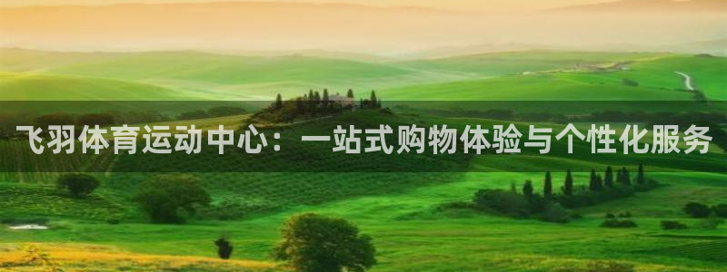 皇冠277体育：飞羽体育运动中心：一站式购物体验与个性化服务