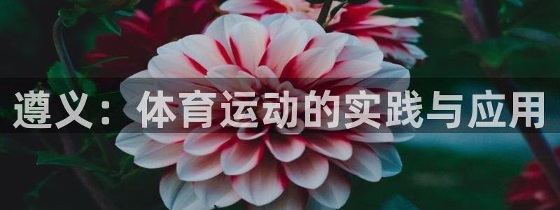 77体育：遵义：体育运动的实践与应用