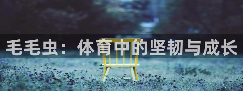 77体育：毛毛虫：体育中的坚韧与成长