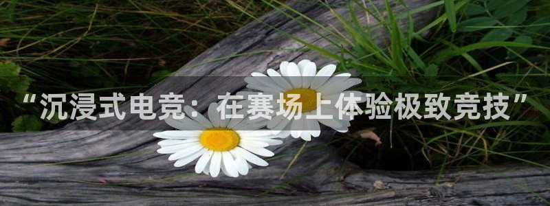 皇冠277体育：“沉浸式电竞：在赛场上体验极致竞技”