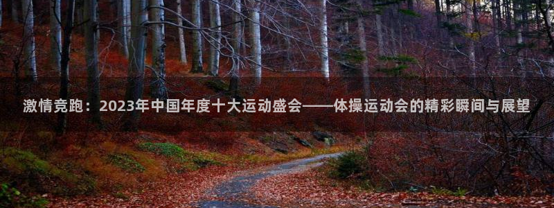 皇冠277体育：激情竞跑：2023年中国年度十大运动盛会——体操运动会的精彩瞬间与展望