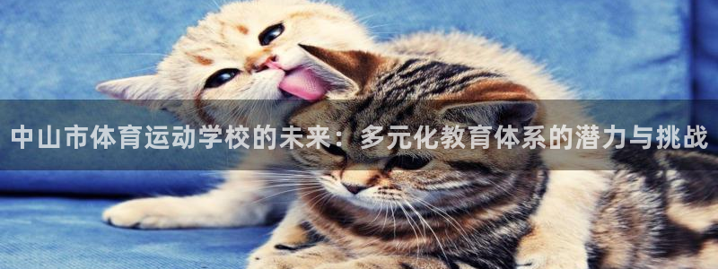 77体育app下载官网：中山市体育运动学校的未来：多元化教育体系的潜力与挑战