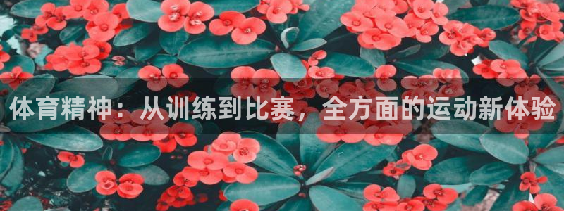 77体育app下载官网：体育精神：从训练到比赛，全方面的运动新体验