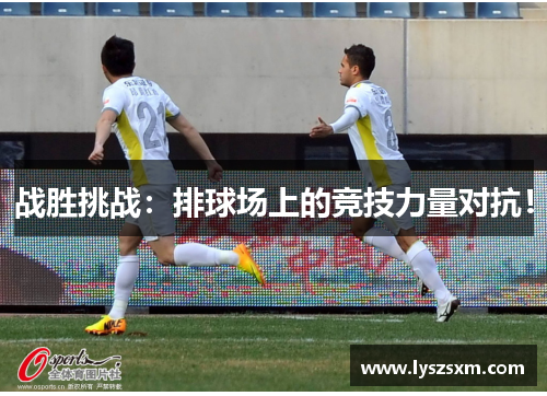 战胜挑战：排球场上的竞技力量对抗！